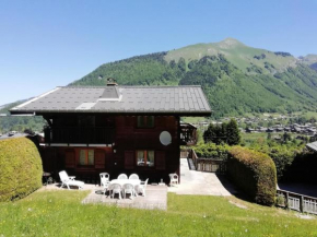 Chalet 8 pers. avec terrasse 69571